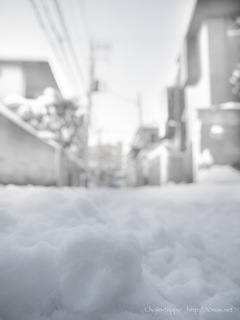 積雪が多い国